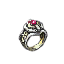 Ring_Unity_ring.png